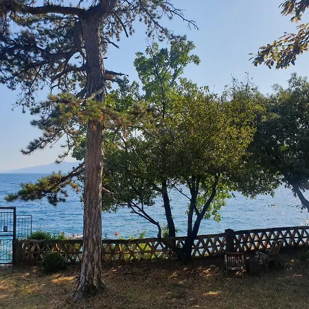 Apartamento Lola Bivio